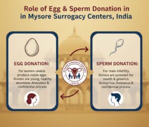 Egg Donor With Surrogacy In Mysore