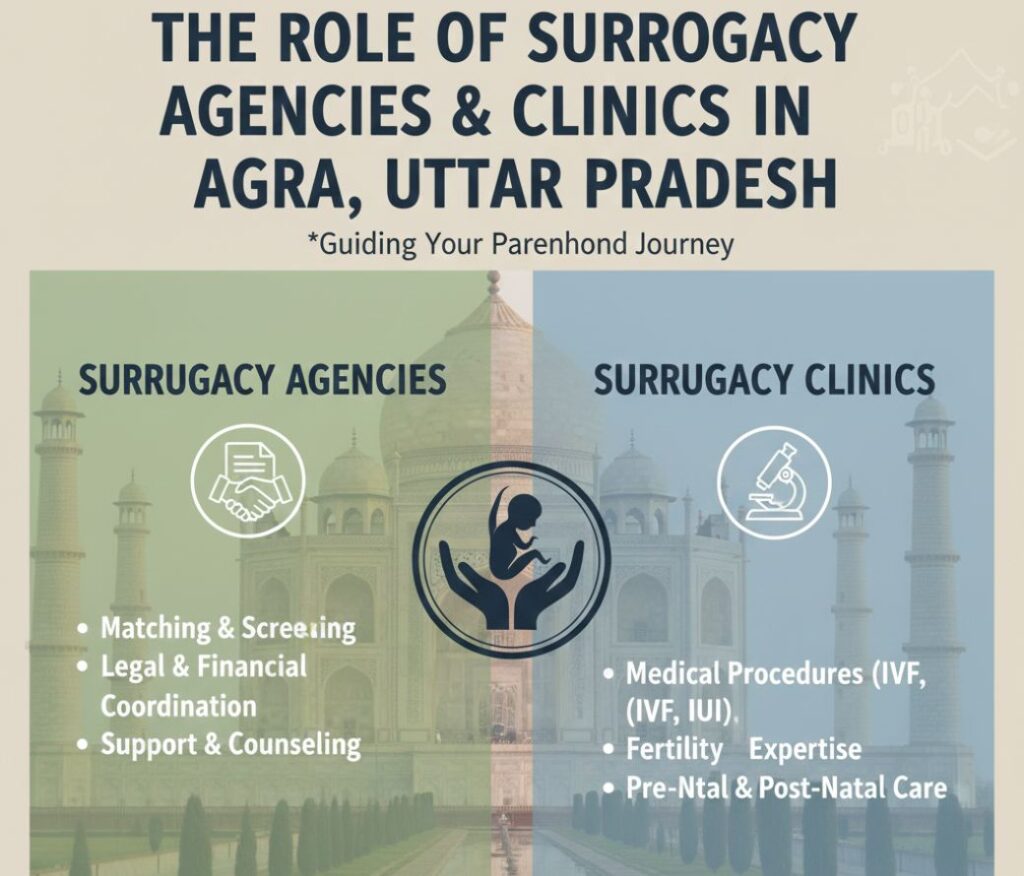 Surrogacy Clinics & Agencies In Agra