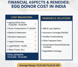 Egg Donor Cost In India