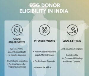 Egg Donor Eligibility Criteria In India