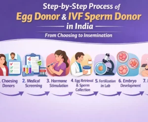 Step-By-Step Process Of Egg Donor & IVF Sperm Donor In India