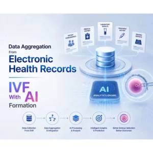 Data Aggregation From Electronic Health Records IVF With AI Formation